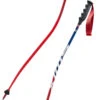 Swix WorldCup Pro DH Carbon -Head Sci Negozio 19 wc pro dh carbon AC125 00