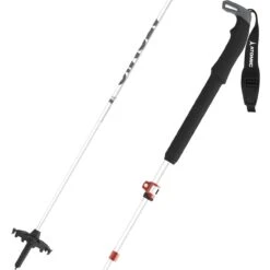 Atomic BCT Mountaineering SQS Poles Silver/grey