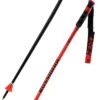Rossignol Hero GS/SG Poles -Head Sci Negozio 22 hero gs sg RDL1020