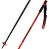 Rossignol Hero SL Poles -Head Sci Negozio 22 hero sl RDL1030